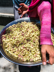 A beautiful and adorable view found in the eaves of the farmhouse along the path in Karimabad
