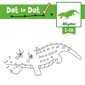 Dot to dot educational game and Coloring book of alligator animals for preschool kids activity learning number worksheet. Vector Illustration.