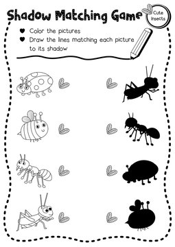 Shadow matching game of insect bug animals for preschool kids activity worksheet layout in A4 coloring printable version. Vector Illustration.
