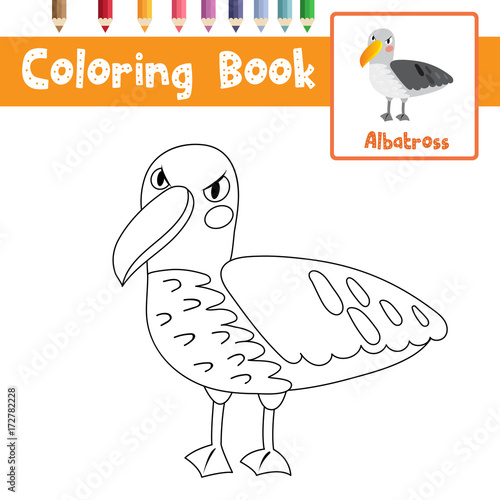 Coloring Page Of Albatross Animals For Preschool Kids Activity Educational Worksheet Vector Illustration
