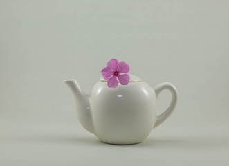 A Tiny Tea Pot.