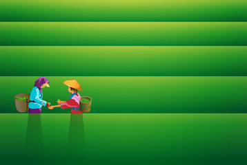 People keep tea leaves vectors