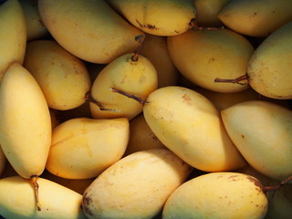 Fresh Mangos from Bangkok Morning Market. 21th September, 2017. Bangkok, Thailand