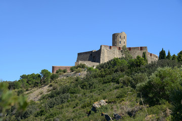 Fototapeta na wymiar Fort Saint-Elme à Collioure 