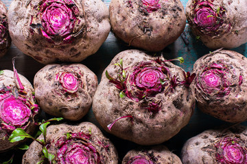 Freshly Harvested Organic Beetroots Cut Row