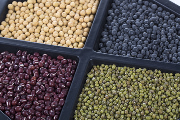 Different colorful beans in container, soybeans, black beans, mung beans and red beans.