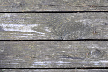 Wood planks. Natural background