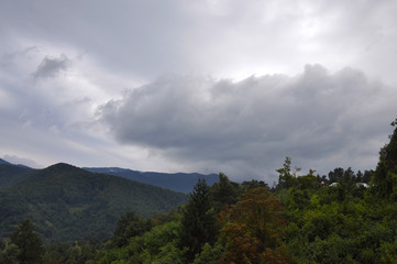 Naklejka premium Carpathian mountains in summer