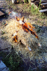 Burning pig hair off with dry straw before the butchering.