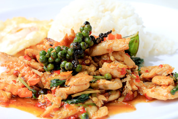 stir fried chicken with roasted chili paste and fresh Piper nigrum on jasmine rice in white plate on white background. Thai style food.