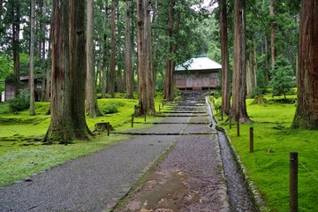 福井県勝山市の平泉寺白山神社