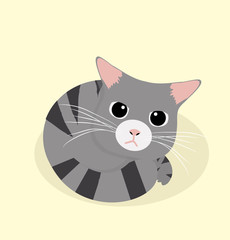 cute black cat sleep