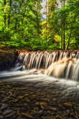 Forest river waterfall