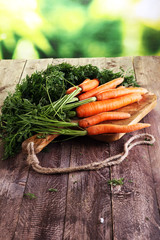 Fresh organic carrots with green leaves on wooden background. Ve