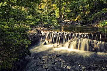 Forest river waterfall