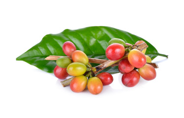 fresh coffee beans with leaf on white background