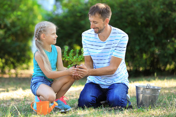 Little girl with teacher planting sapling in park