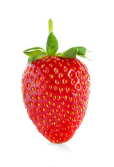 Ripe strawberry on white background