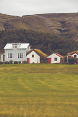 Fototapeta na wymiar White Siding Icelandic Houses
