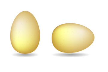 Two vector brown eggs. Isolated eggs on white background.