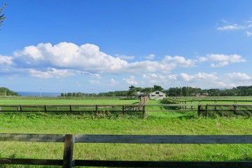 Fototapeta premium 牧場と青空