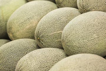 cantaloupe melon in the market