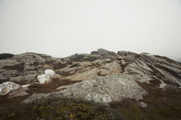 kurvige Bergstrasseder Alpen im Nebel
