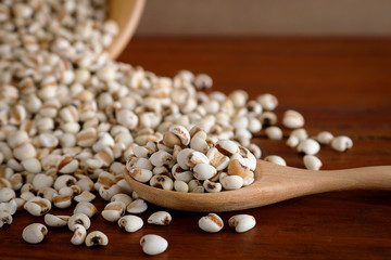 job's Tears in wooden spoon on rustic wood background.