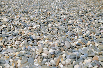 Pebble beach closeup
