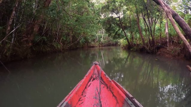 Beautiful pure nature landscape, Masoala National Park, small river in rainforest, Madagascar picturesque wilderness nature. Scenic view from boat canoe