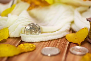 Bitcoin with yellow autumn leaves on a wooden table