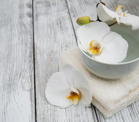 orchid flowers in a bowl with water