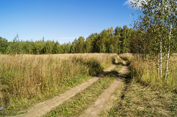 Fototapeta na wymiar Autumn landscape in rural terrain