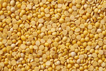 soybean  or soya bean