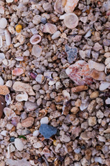 sandy background closeup