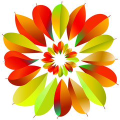 bright autumn leaves as a symbol of a flower on a white background