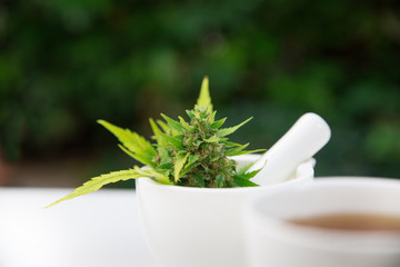 Cannabis . Tea from green leaf in cup, cannabis leaves in mortar