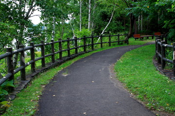 Promenade of Sapporo City park