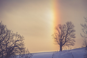 Winterlandschaft: Sonnenaufgang, Baum, Regenbogen