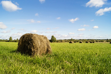 Autumn landscape in rural terrain