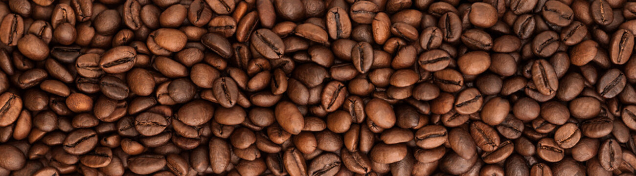 background panorama beans coffee