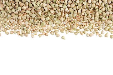 Decorative frame of green buckwheat isolated on white background. Top view, closeup.