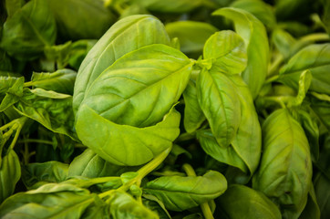 fresh fruits & vegetables close up view on the local markets