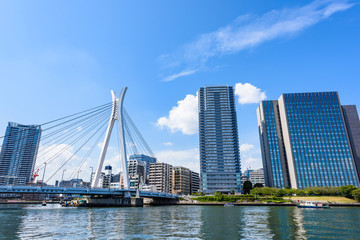 Obraz premium 隅田川沿いの風景
