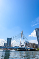 隅田川沿いの風景