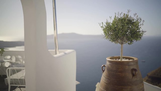 4k video architectural detail in santorini island greece with little olive tree in amphora with caldera sea view in slow dolly move
