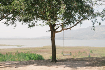 Fototapeta premium big tree with swing on green field in thailand