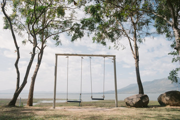 big tree with swing on green field in thailand