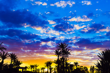 Obraz na płótnie Canvas Sunset in Marrakech