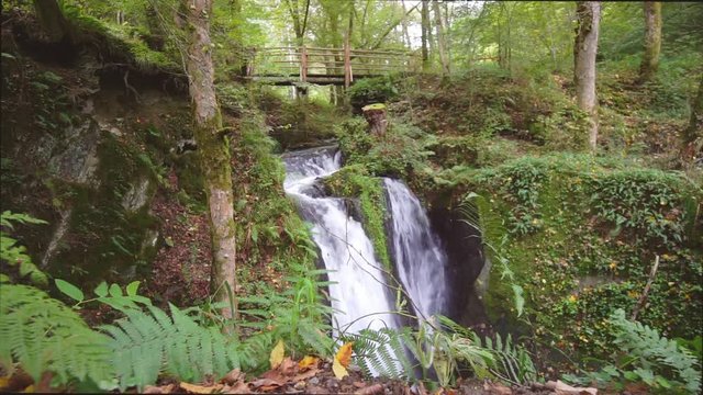 Kristallwasser in der Eifel: Die Rausch an der wilden Endert
